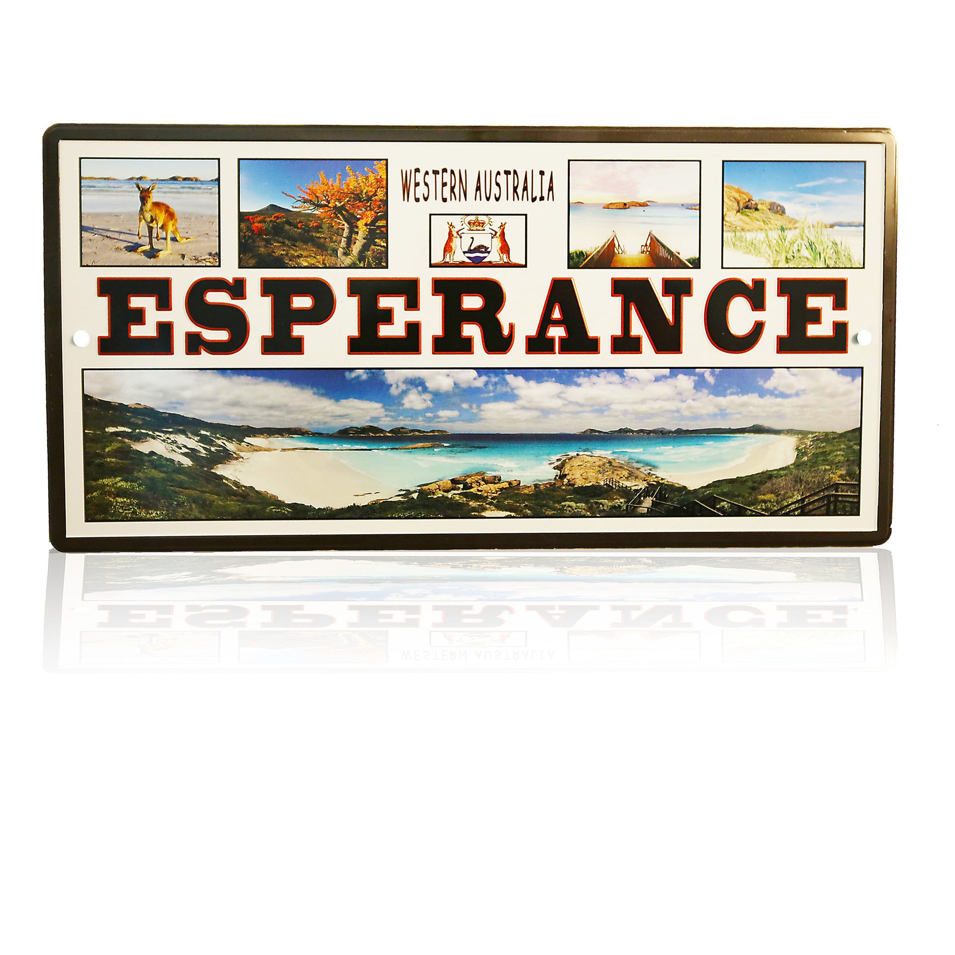 Souvenir Number Plate Collage